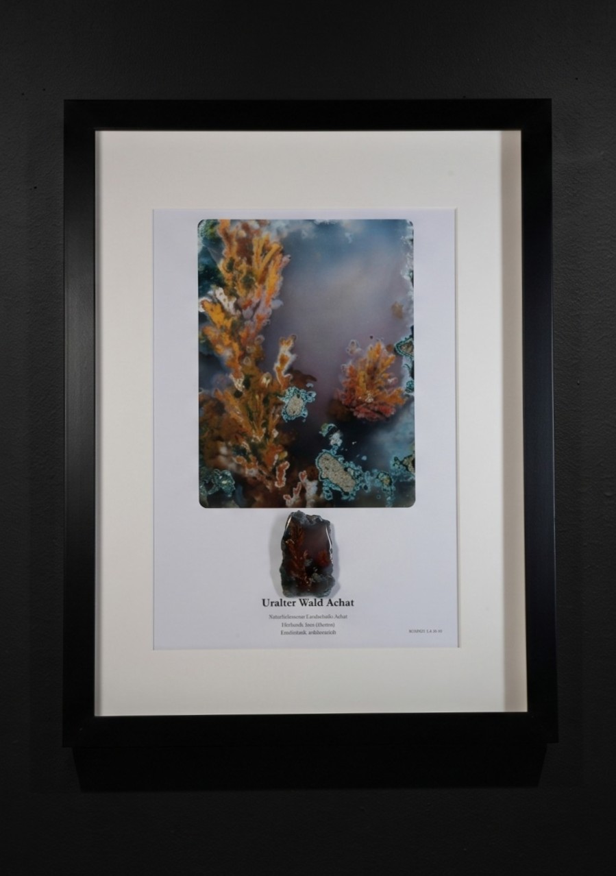 Uralter Wald Achat artwork