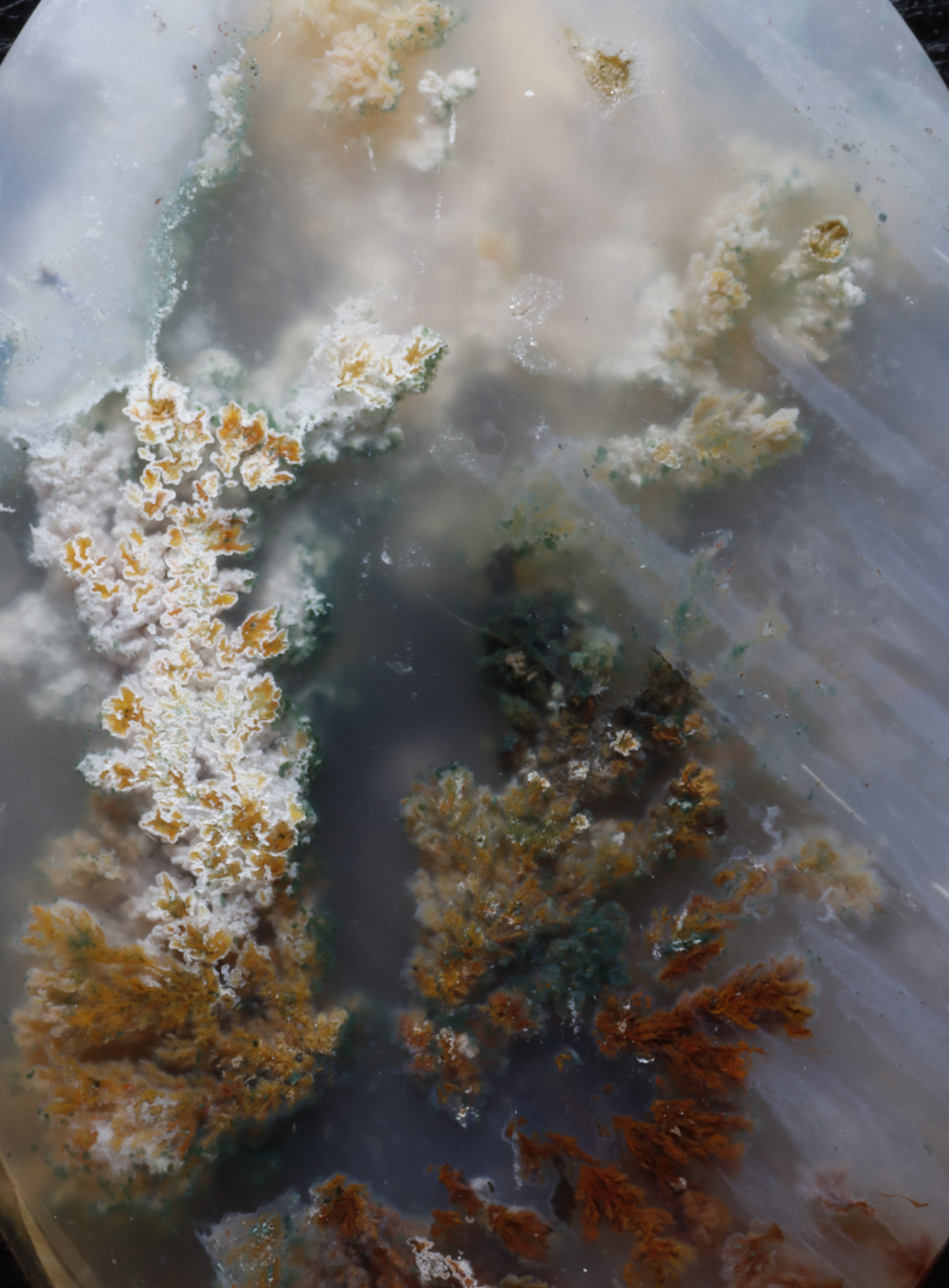 Dendritic landscape agate from the Rosino collection